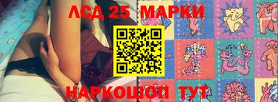 ALPHA PVP Гатчина